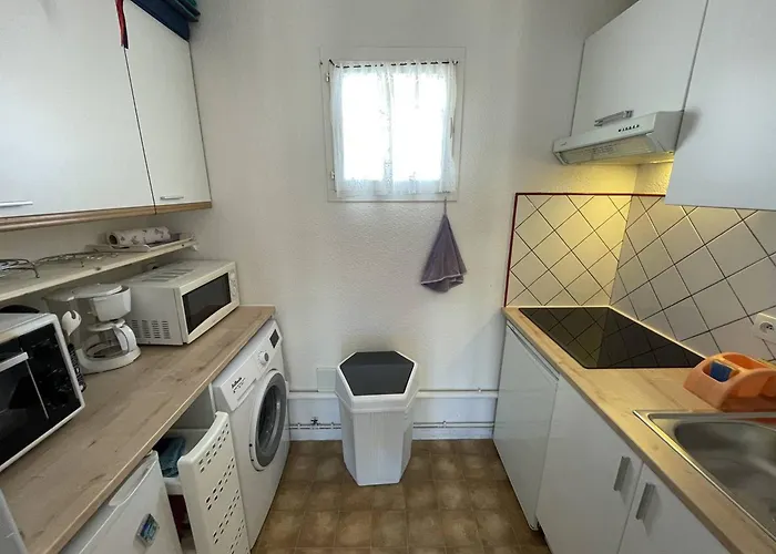 شقة T2 Port St Cyprien Piscine, Clim, Parking, Animaux Ok - Fr-1-106-39 سان سيبريان