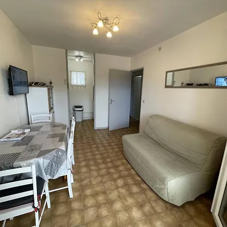 Apartment T2 Port St Cyprien Piscine, Clim, Parking, Animaux Ok - Fr-1-106-39 *