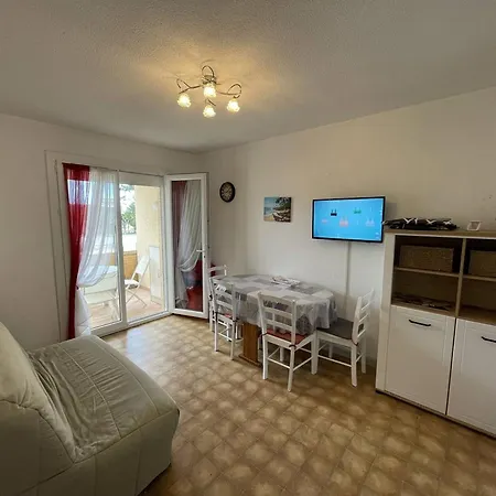 T2 Port St Cyprien Piscine, Clim, Parking, Animaux Ok - Fr-1-106-39 Apartment