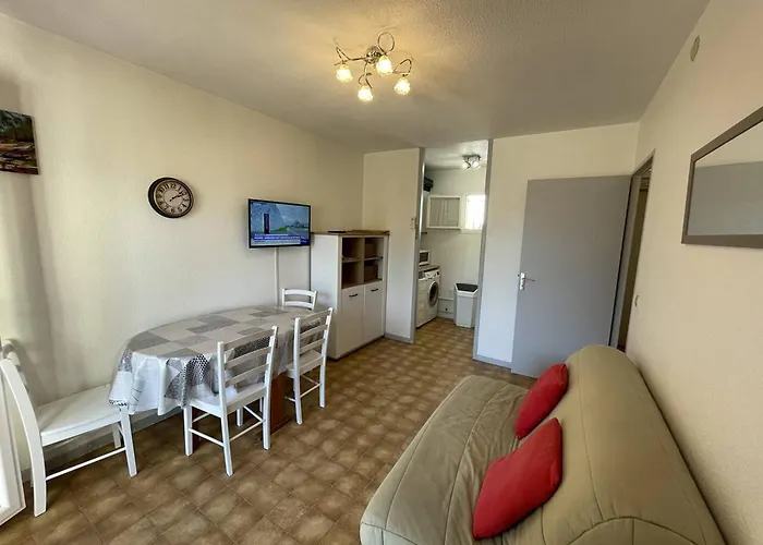 Lejlighed T2 Port St Cyprien Piscine, Clim, Parking, Animaux Ok - Fr-1-106-39 *