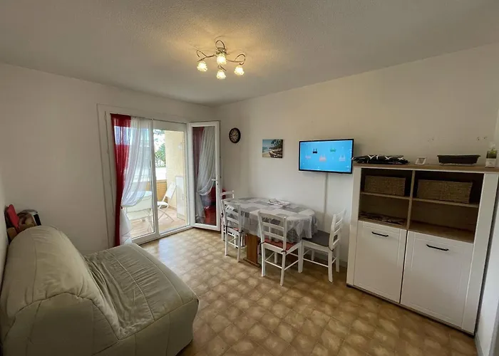 T2 Port St Cyprien Piscine, Clim, Parking, Animaux Ok - Fr-1-106-39 Lejlighed