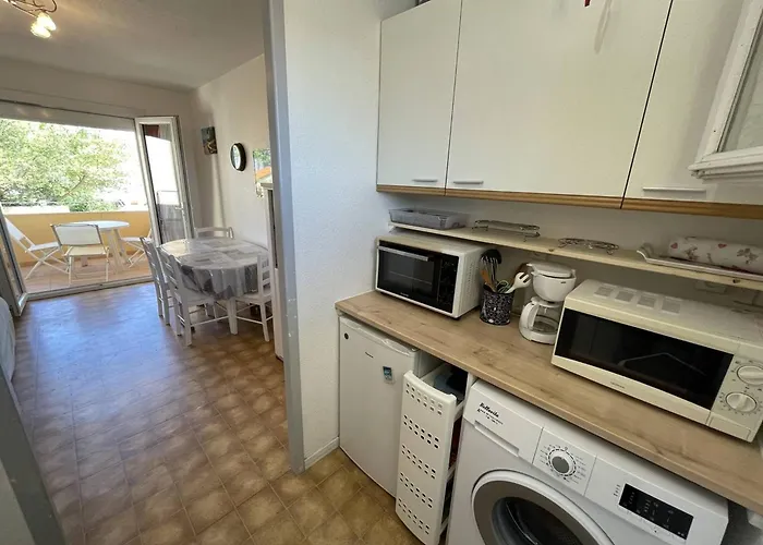 Lejlighed T2 Port St Cyprien Piscine, Clim, Parking, Animaux Ok - Fr-1-106-39